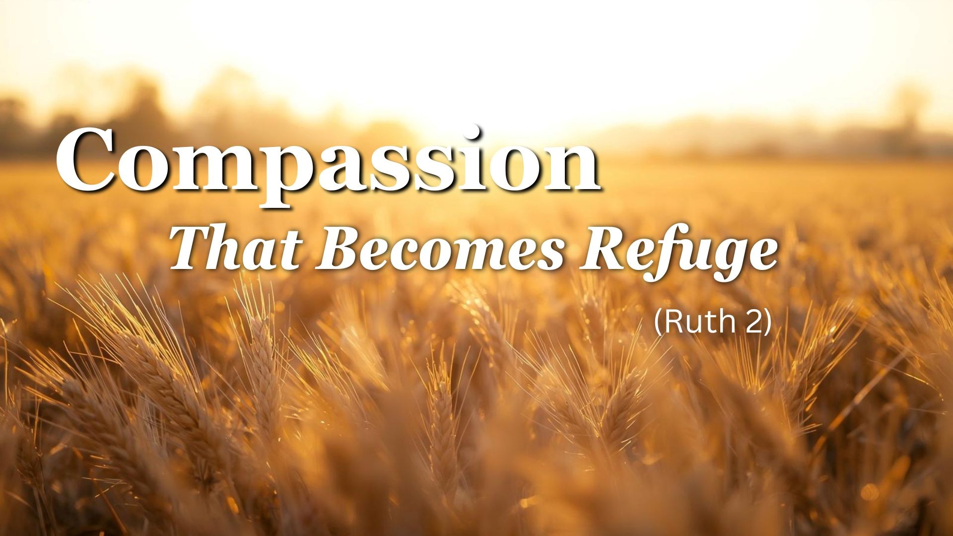 Compassion That Becomes Refuge - Rev Vincent Lim