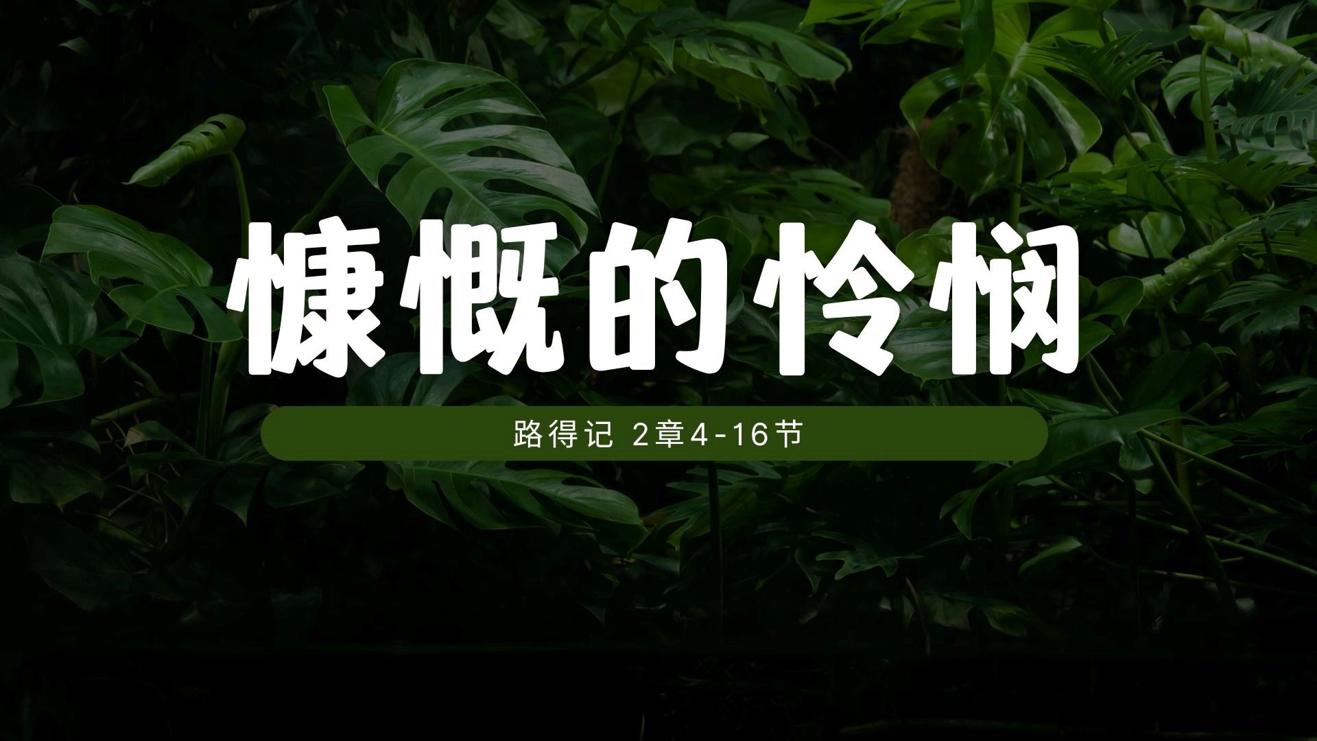 慷慨的怜悯 - 许谭陌牧师