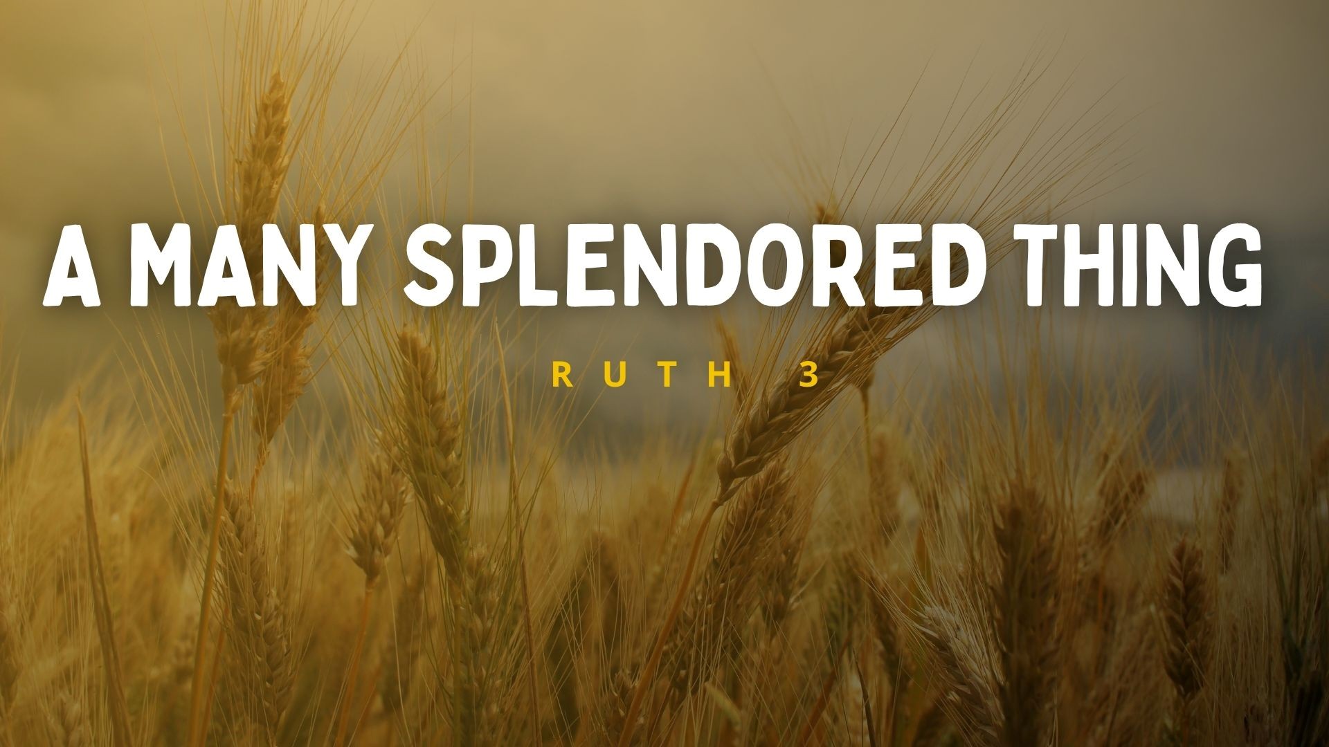 A Many Splendored Thing - Mr. Peter Chao