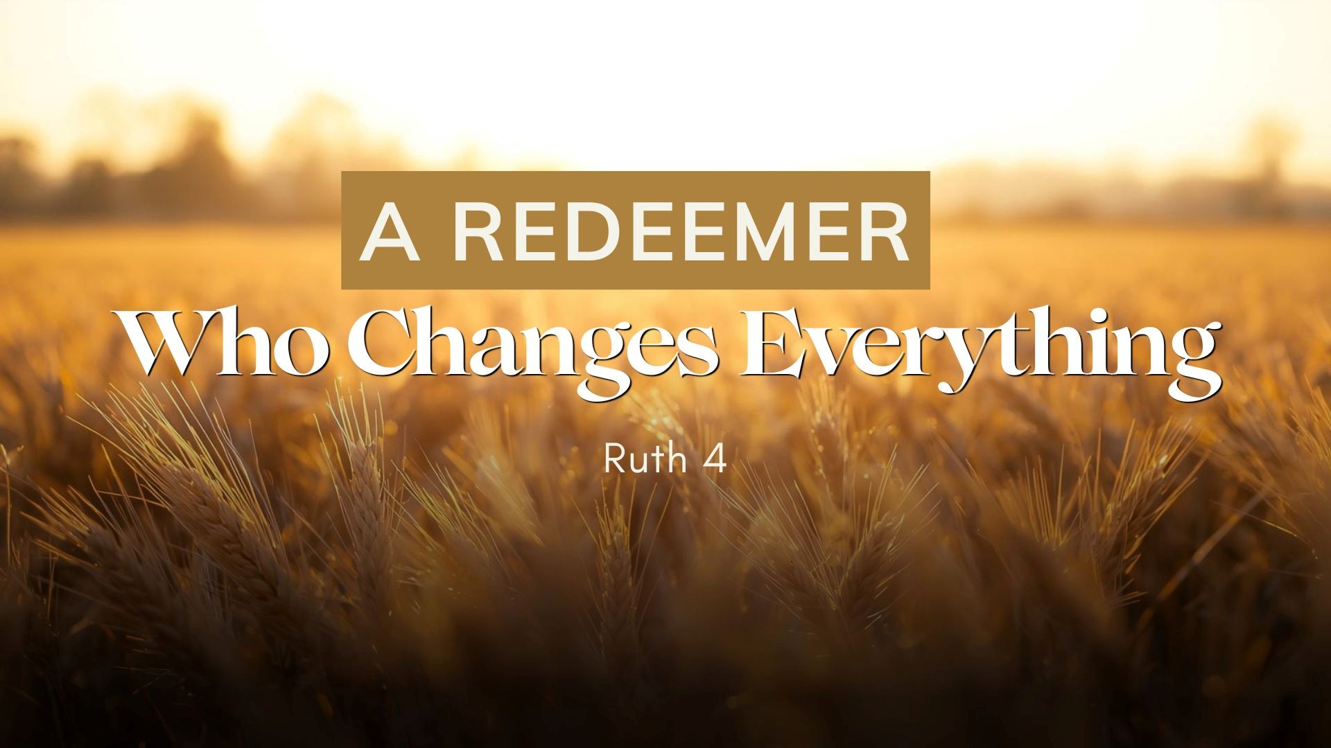 A Redeemer Who Changed Everything - Rev Vincent Lim